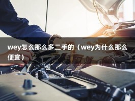 wey怎么那么多二手的（wey为什么那么便宜）