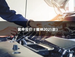 翼神报价（翼神2021款）