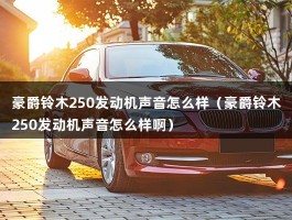 豪爵铃木250发动机声音怎么样（豪爵铃木250发动机声音怎么样啊）