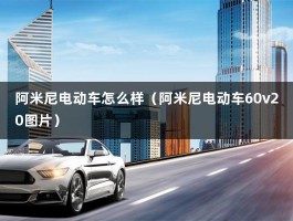 阿米尼电动车怎么样（阿米尼电动车60v20图片）