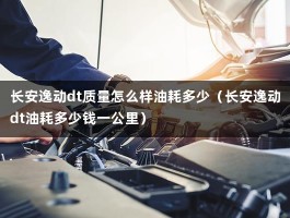 长安逸动dt质量怎么样油耗多少（长安逸动dt油耗多少钱一公里）