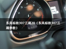 东风标致307三厢20（东风标致307三厢参数）