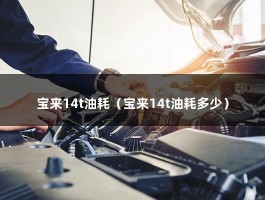 宝来14t油耗（宝来14t油耗多少）