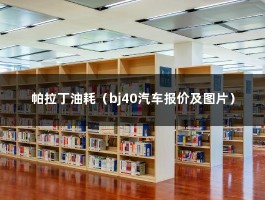 帕拉丁油耗（bj40汽车报价及图片）