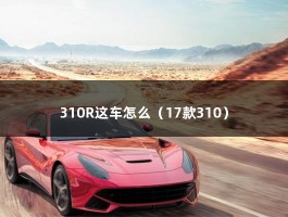 310R这车怎么（17款310）