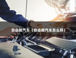 自由舰汽车（自由舰汽车怎么样）