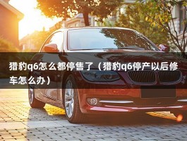 猎豹q6怎么都停售了（猎豹q6停产以后修车怎么办）