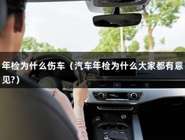 年检为什么伤车（汽车年检为什么大家都有意见?）