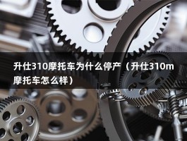 升仕310摩托车为什么停产（升仕310m摩托车怎么样）