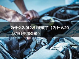 为什么2.0t2.5t被砍了（为什么20t比15t贵那么多）