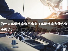 为什么车俩违章查不出来（车辆违章为什么查不到了）