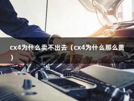 cx4为什么卖不出去（cx4为什么那么贵）