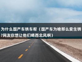 为什么国产车锈车帮（国产车为啥那么爱生锈?网友你想让他们喝西北风啊）