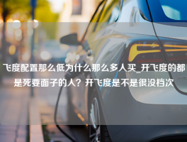 飞度配置那么低为什么那么多人买_开飞度的都是死要面子的人？开飞度是不是很没档次