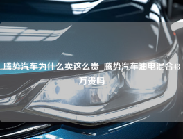 腾势汽车为什么卖这么贵_腾势汽车油电混合43万贵吗