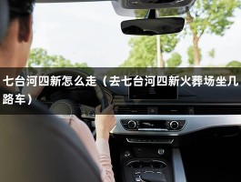 七台河四新怎么走（去七台河四新火葬场坐几路车）