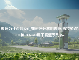 霸道为什么叫2700_如何区分丰田霸道(普拉多)的2700和4000-4700属于霸道系列么-