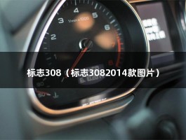 标志308（标志3082014款图片）