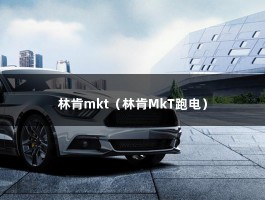 林肯mkt（林肯MkT跑电）