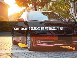 senasm10怎么样的简单介绍