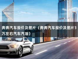 奔奔汽车报价及图片（奔奔汽车报价及图片3万左右汽车汽油）