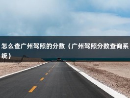 怎么查广州驾照的分数（广州驾照分数查询系统）