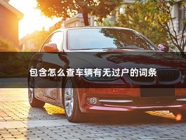 包含怎么查车辆有无过户的词条