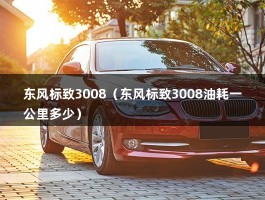 东风标致3008（东风标致3008油耗一公里多少）