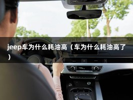 jeep车为什么耗油高（车为什么耗油高了）