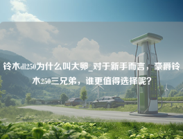 铃木dl250为什么叫大卵_对于新手而言，豪爵铃木250三兄弟，谁更值得选择呢？