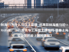 林海175为什么可以上蓝牌_迅鹰款林海雅马哈YAMAHA原厂100CC摩托车上海能上牌照吗-我是上海宝山区的能上哪种牌照？