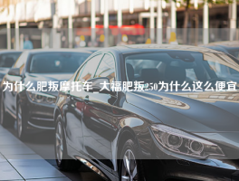 为什么肥叛摩托车_大福肥叛250为什么这么便宜