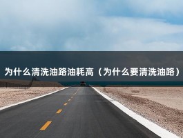 为什么清洗油路油耗高（为什么要清洗油路）