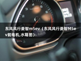 东风风行菱智m5ev（东风风行菱智M5ev前电机,水箱图）