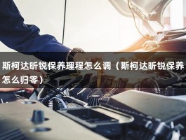 斯柯达昕锐保养理程怎么调（斯柯达昕锐保养怎么归零）