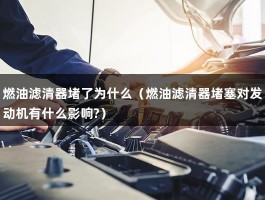 燃油滤清器堵了为什么（燃油滤清器堵塞对发动机有什么影响?）