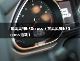 东风风神h30cross（东风风神h30cross油耗）