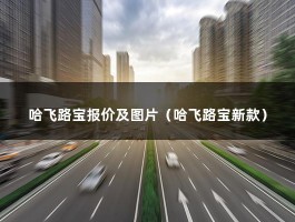 哈飞路宝报价及图片（哈飞路宝新款）