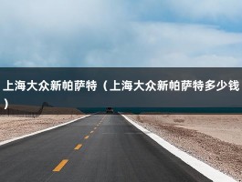 上海大众新帕萨特（上海大众新帕萨特多少钱）