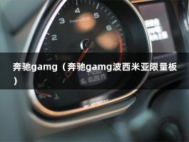 奔驰gamg（奔驰gamg波西米亚限量板）