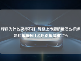 辉昂为什么卖得不好_辉昂上市后销量怎么样辉昂和辉腾有什么区别辉昂和宝马