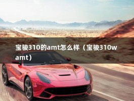 宝骏310的amt怎么样（宝骏310w amt）