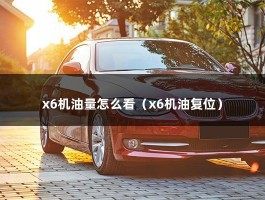 x6机油量怎么看（x6机油复位）