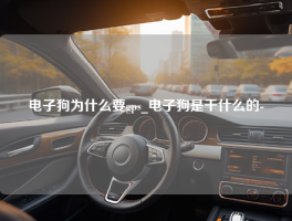 电子狗为什么要gps_电子狗是干什么的-