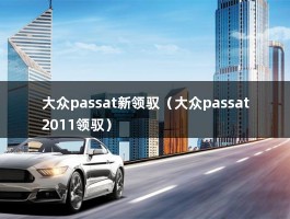 大众passat新领驭（大众passat2011领驭）