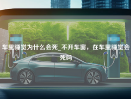 车里睡觉为什么会死_不开车窗，在车里睡觉会死吗