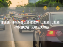 比亚迪s7油泵为什么会滋滋响_比亚迪-比亚迪S7-s7发动机为什么那么大噪音