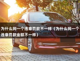 为什么同一个违章罚款不一样（为什么同一个违章罚款金额不一样）