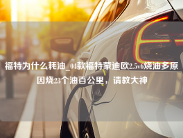 福特为什么耗油_04款福特蒙迪欧2.5v6烧油多原因烧23个油百公里，请教大神