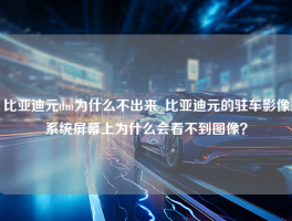 比亚迪元dm为什么不出来_比亚迪元的驻车影像系统屏幕上为什么会看不到图像？